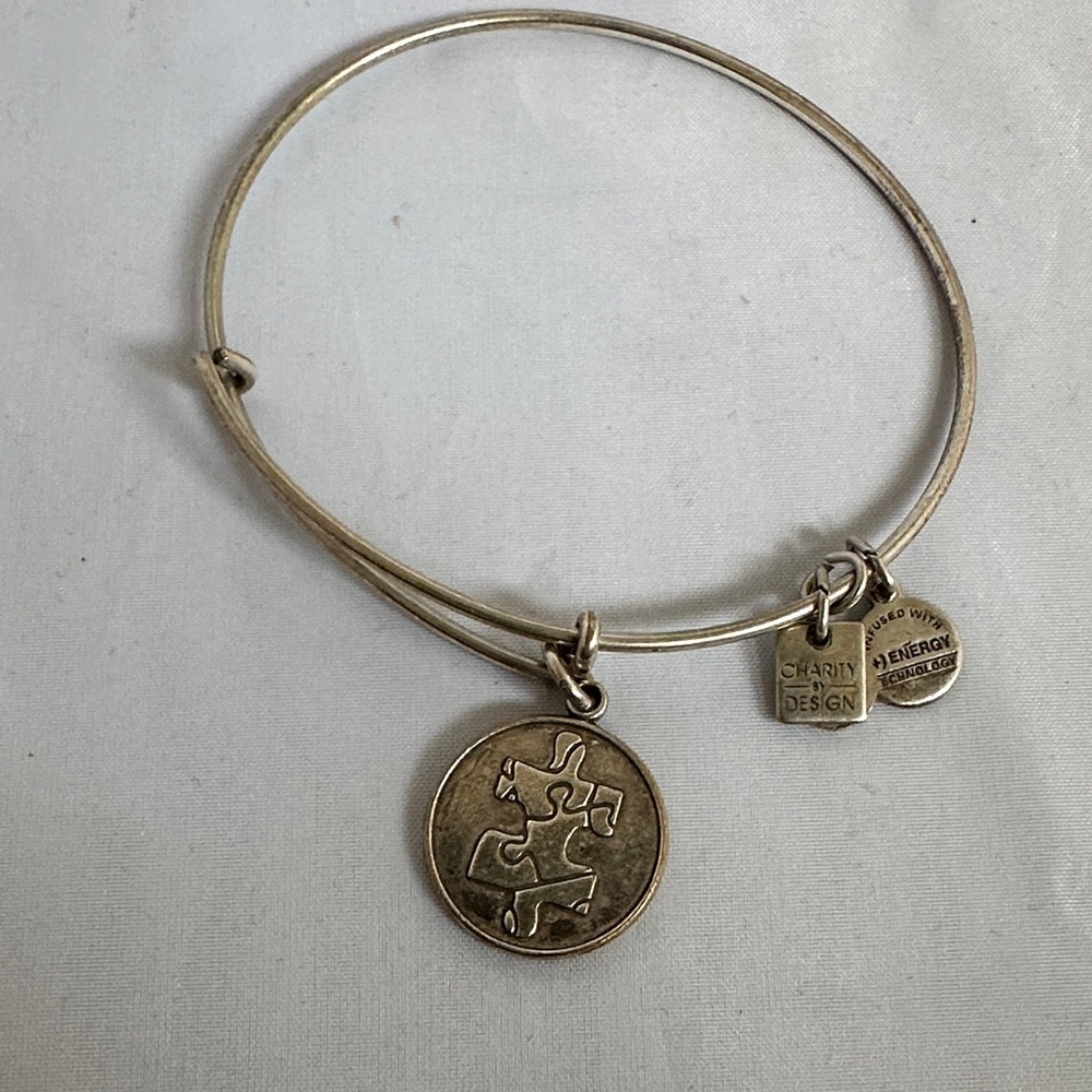 Alex and Ani Gold Charm Bracelet